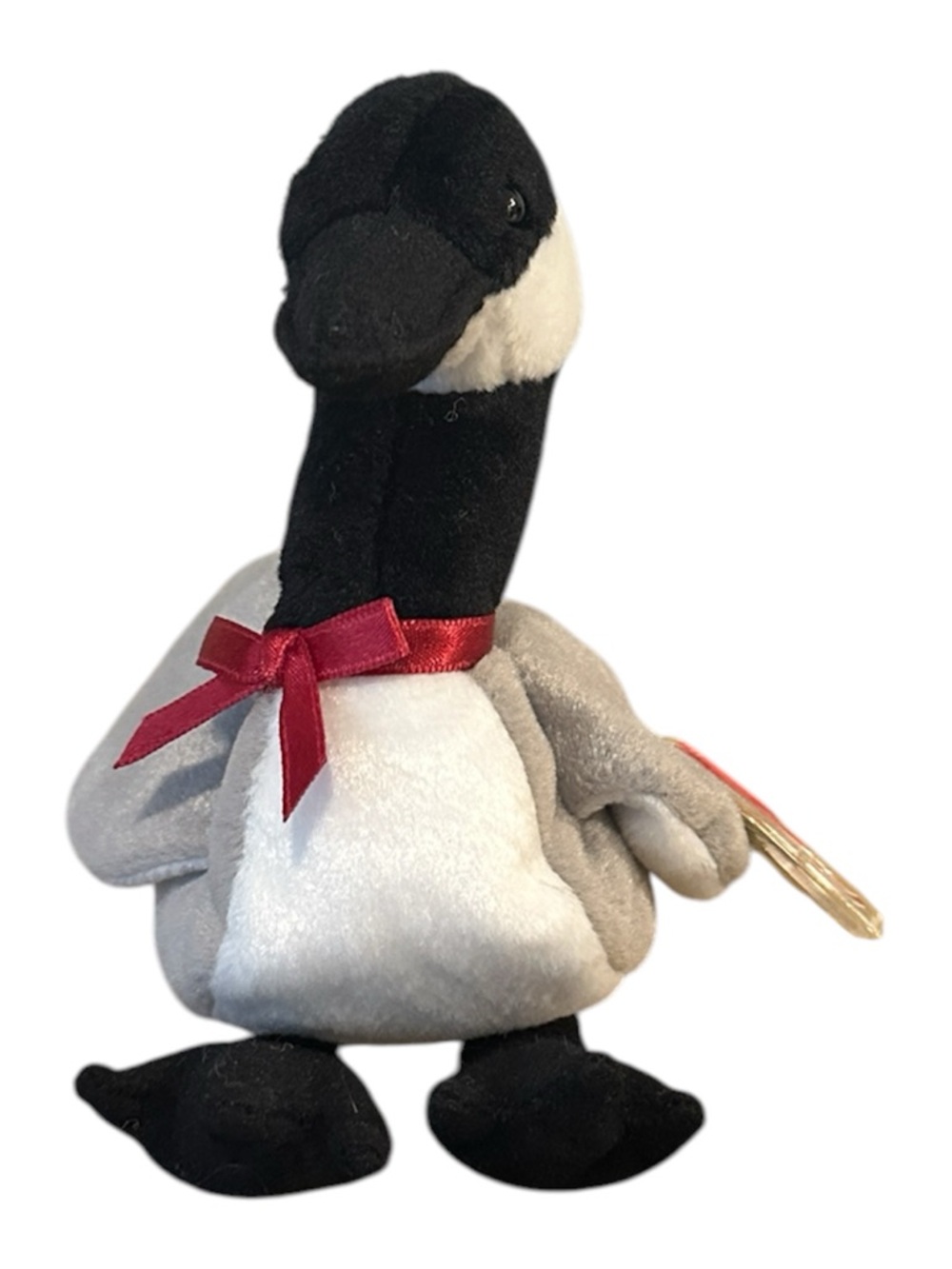 1998 loosy Goose - Retired